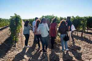 El 30% de los enoturistas españoles quiere visitar la Ruta del Vino de Rueda