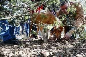 Un gran encuentro amparado por Viñas del Vero