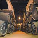 González Byass elegida la primera bodega de España en ranking mundial