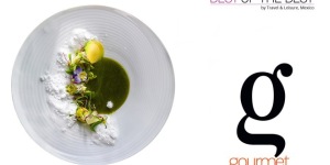 Gourmet Awards 2016, en Michoacán