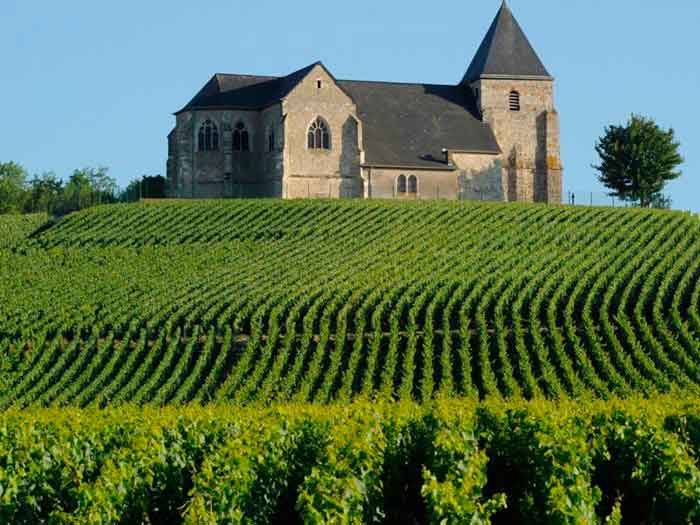 Más de un centenar de personas pasaron por el pop up de La Champagne en Madrid