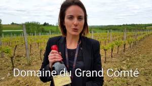 Gascuña, tierra de D’Artagnan, los Mosqueteros y del Armagnac