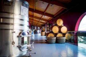Las Bodegas de Grupo Matarromera ofrecerán actividades especiales por el Día Europeo del Enoturismo