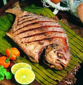 El pescado, útil en todas sus partes