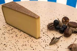 Un Gruyère d’alpage AOP, ganador de los Swiss Cheese Awards 2016