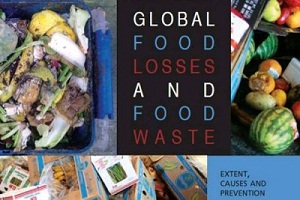 Un tercio de los alimentos a nivel mundial se pierden o desperdician