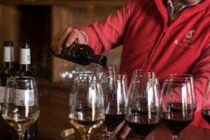 Magia y poesía: propuestas de Ribera del Guadiana en el Día Europeo del Enoturismo