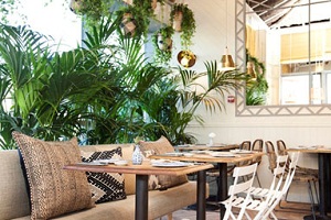 Sushita, referente en España en cocina Oriental, prevé crecer un 39 por ciento en 2016