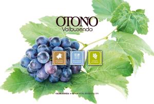  Los 10 mejores hoteles para hacer enoturismo esta temporada