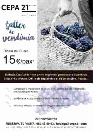 IV Edición del “Taller de Vendimia” de Bodegas Cepa 21
