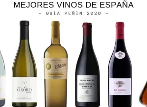 Guía Peñín-2020-ganadores