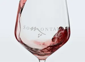 Festival Vino Somontano-2019