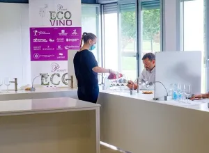 Premios Ecovino-2020