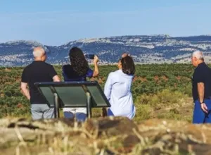 Ruta del Vino y del Cava Ribera del Guadiana