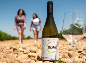 Genérica Viñedo Ruta Vino Rueda