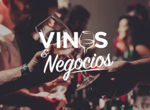 vinos y negocios