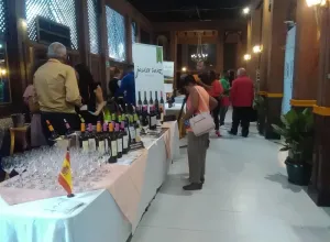 feria internacional del vino 