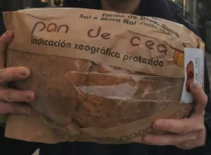 Consejo Regulador Indicación Geográfica Protegida Pan de Cea 