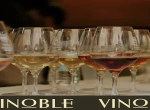 Vinoble 