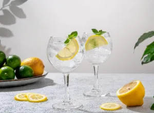 Gin Tonic 