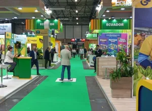 la industria bananera ecuatoriana y colombiana refuerza su presencia en Fruit Attraction 2024