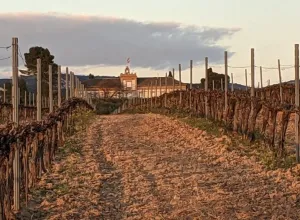 Bodegas La inglesa