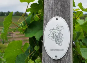 uva tempranillo