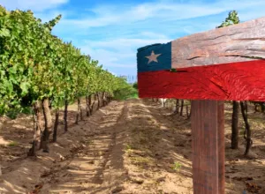 vinos de Chile