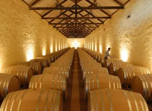 bodega de la cooperativa de Palmela