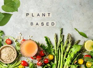 plant based proveg