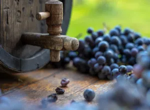 Día Internacional del Cabernet Franc