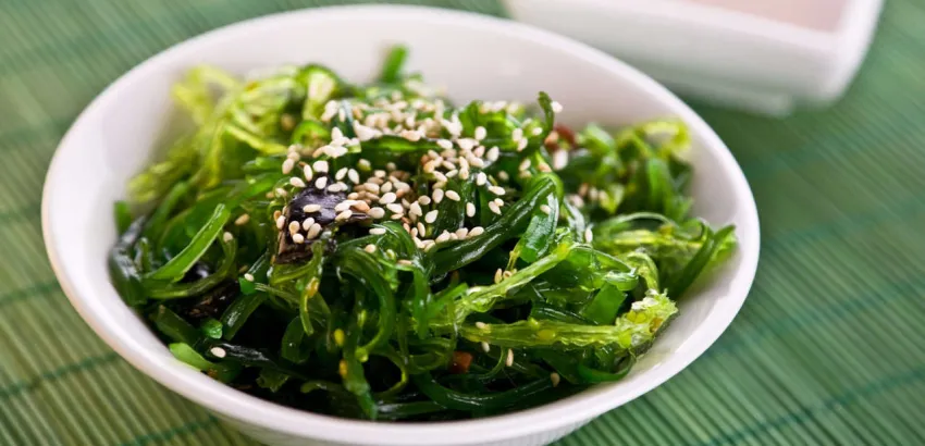 alga-wakame