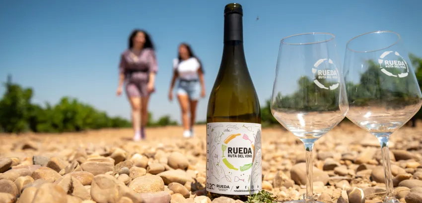 Genérica Viñedo Ruta Vino Rueda