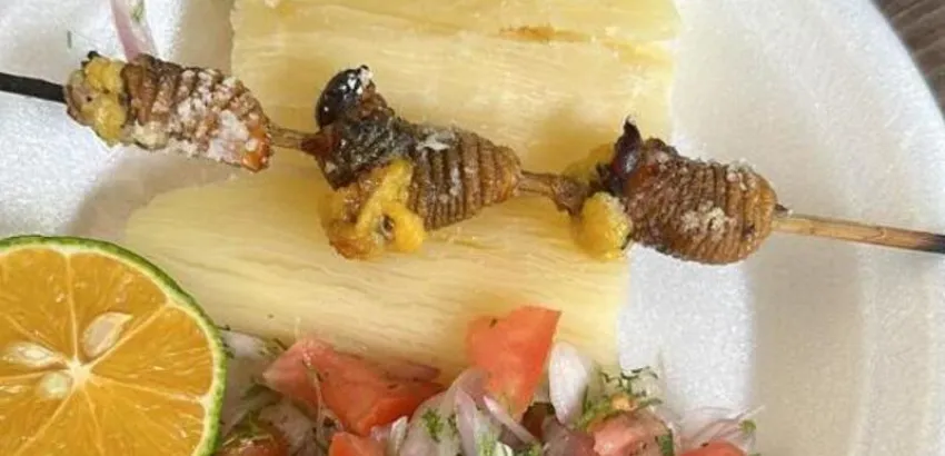 Gastronomía ecuatoriana 