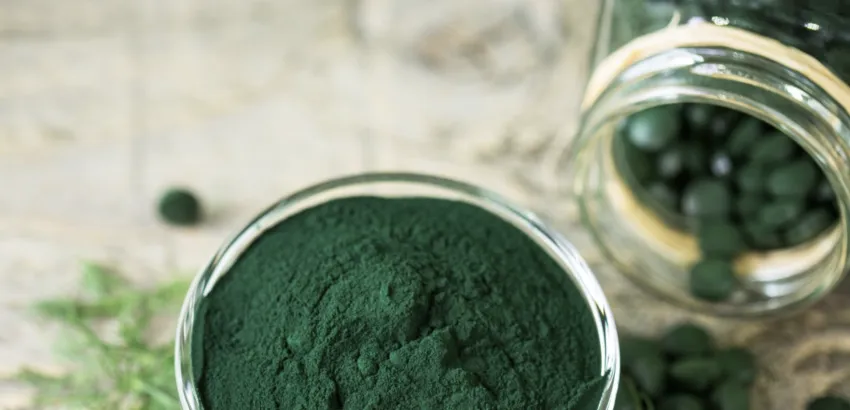  La Fiebre por el Alga Espirulina