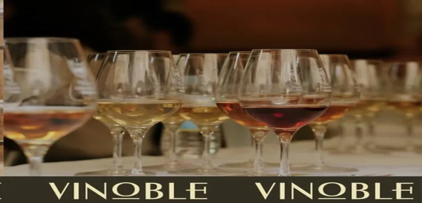 Vinoble 