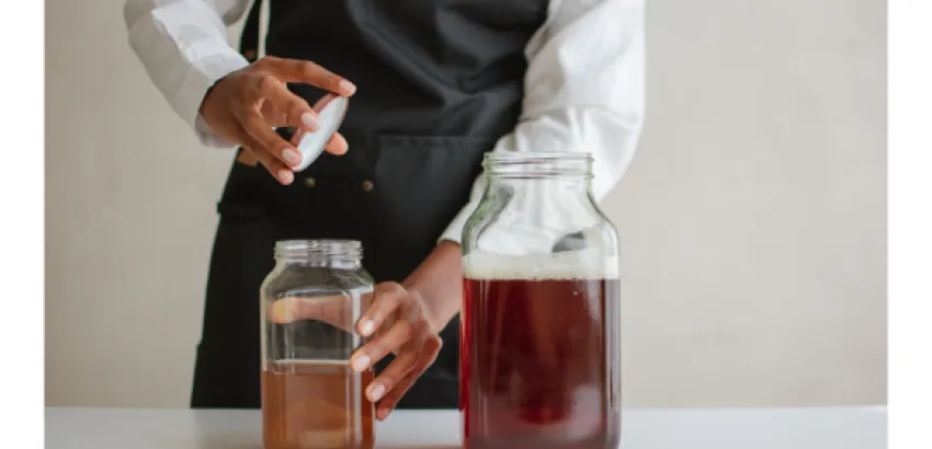 kombucha