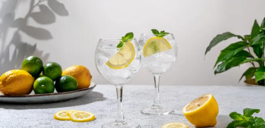 Gin Tonic 