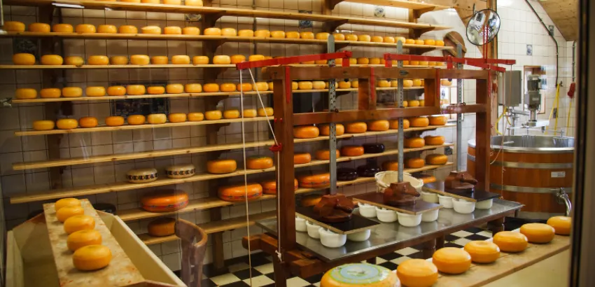 La industria quesera española triunfa en World Cheese Awards 2024