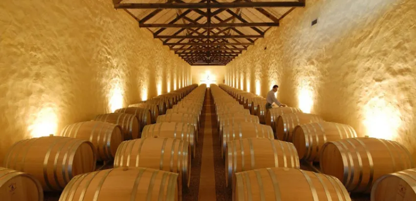 bodega de la cooperativa de Palmela