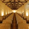 bodega de la cooperativa de Palmela